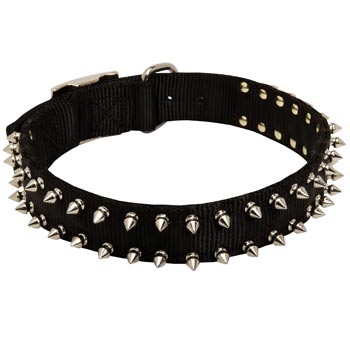 Collie Dog Nylon Collar Steel Nickel Plated Spikes