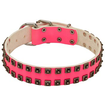 Studded Pink Leather Collar for Collie She-Dogs