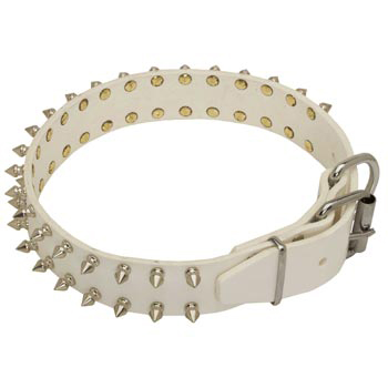 Fashion White Collar for Collie