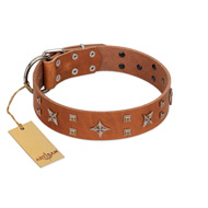 "Dreamy Gleam" FDT Artisan Tan Leather Collie Collar Adorned with Stars and Squares
