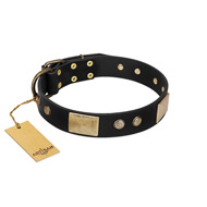 "Antique Gloss" FDT Artisan Black Leather Collie Collar with Bronze-like Plates and Small Studs
