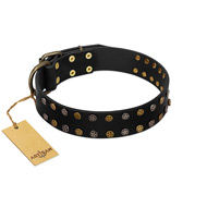 "Star Way" FDT Artisan Black Leather Collie Collar with Bronze-like and Silver-like Star Studs