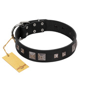 "Foregone Riches" FDT Artisan Black Leather Collie Collar with Old Silver-like Square Studs and Pyramids