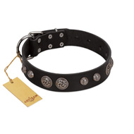 "Tricky Ricky" FDT Artisan Black Leather Collie Collar Adorned with Silver-Like Conchos