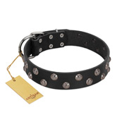 "Power-Flower" FDT Artisan Black Leather Collie Collar with Two Rows of Silver-like Studs with Engraved Flowers