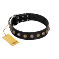 "Inky Prettification" FDT Artisan Black Leather Collie Collar with One Row of Studs