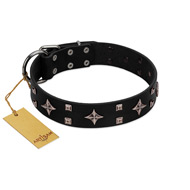 "Snappy Dresser" FDT Artisan Black Leather Collie Collar Adorned with Stars and Tiny Squares