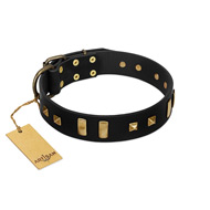"Fit for Royalty" FDT Artisan Black Leather Collie Collar with Plates and Small Square Studs