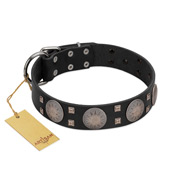 "Sun in Shining" Modern FDT Artisan Black Leather Collie Collar with Studs and Stars