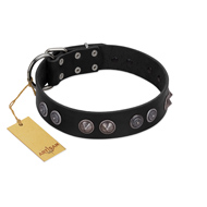 "Silver Medallions" Mod FDT Artisan Black Leather Collie Collar with Round Plates
