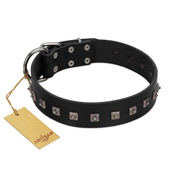 "Natural Beauty" Premium Quality FDT Artisan Black Designer Collie Collar with Dotted Studs