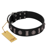 "Silver Spikes" Exclusive FDT Artisan Black Leather Collie Collar
