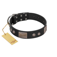 "Square Stars" Modern FDT Artisan Black Leather Collie Collar with Square Plates and Studs
