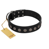 "Silent Star" Handmade FDT Artisan Designer Black Leather Collie Collar with Engraved Plates