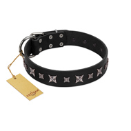 "Polar Lights" Designer FDT Artisan Black Leather Collie Collar with Silver-Like Studs