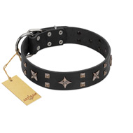 "Star Excitement" Modern FDT Artisan Black Leather Collie Collar with Studs and Stars