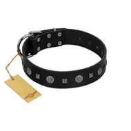 "Mr. Elegance" Designer FDT Artisan Black Leather Collie Collar with Silver-Like Studs