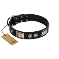 "Grand Wear" FDT Artisan Black Leather Collie Collar with Shining Plates and Spiked Studs