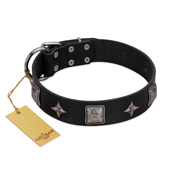 "Black Cavalier" Handmade FDT Artisan Black Leather Collie Collar with Silver-Like Stars and Large Plates