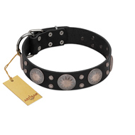 "Starry Sky" Trendy FDT Artisan Black Leather Collie Collar with Large Brooches