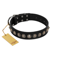 "Black Eagle" Handcrafted FDT Artisan Black Leather Collie Collar with Silver-Like Adornments