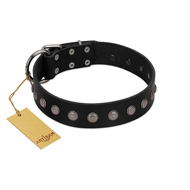 "Silver Flower" Exclusive FDT Artisan Black Leather Collie Collar with Silver-Like Studs