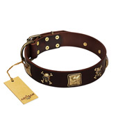 "Crazy Pirate" FDT Artisan Brown Leather Collie Collar with Old Bronze-Plated Skulls and Plates
