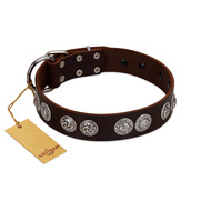 "High and Mighty" FDT Artisan Classy Brown Leather Collie Collar with Embellished Brooches