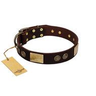 "Bow-Wow Effect" FDT Artisan Brown Leather Collie Collar with Plates and Ornate Studs
