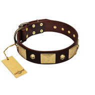 "Heavy Metal" FDT Artisan Brown Leather Collie Collar with Old Bronze-like Skulls and Plates