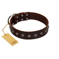 "Graceful Classic" Mod FDT Artisan Brown Leather Collie Collar