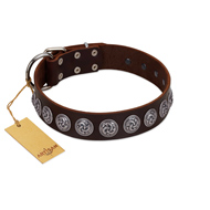 "Charming Circles" FDT Artisan Brown Leather Collie Collar with Silver-like Studs