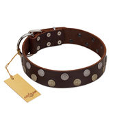 "Shadow Warrior" FDT Artisan Mystic Brown Leather Collie Collar with Runes