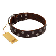 "Blossom Jewel" FDT Artisan Brown Leather Collie Collar with Two Rows of Silver-like Studs with Engraved Flowers