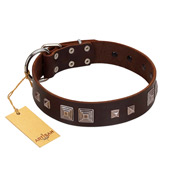 "Object of Virtu" FDT Artisan Brown Leather Collie Collar with Old Silver-like Square Studs and Pyramids