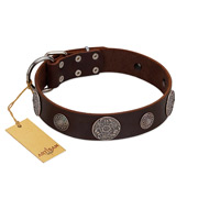 "Flashy Woof" FDT Artisan Brown Leather Collie Collar with Chrome Plated Brooches