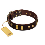 "Lord of Dogs" FDT Artisan Brown Leather Collie Collar with Old Bronze-like Dotted Studs and Tiles
