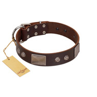 "Stone Stars" Stylish Handmade FDT Artisan Brown Leather Collie Collar