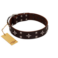 "Trendy Candy" FDT Artisan Brown Leather Collie Collar Adorned with Stars and Tiny Squares