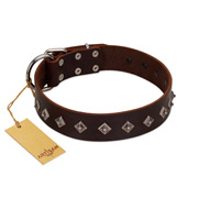 "Boundless Energy" Premium Quality FDT Artisan Brown Designer Leather Collie Collar with Small Pyramids