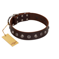 "Dark Chocolate" Handmade FDT Artisan Brown Leather Collie Collar with Studs
