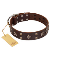 "Stars in Sands" Modern FDT Artisan Brown Leather Collie Collar with Studs and Stars