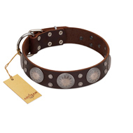 "Imperial Legate" FDT Artisan Brown Leather Collie Collar with Big Round Plates