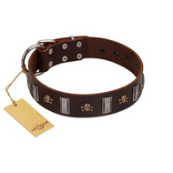 "War Chief" FDT Artisan Genuine Brown Leather Collie Collar with Skulls and Plates