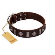 "Spiky Way" FDT Artisan Brown Leather Collie Collar with Silver-Like Decorations