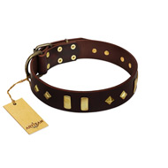 "Blinking Illusion" FDT Artisan Brown Leather Collie Collar with Old Bronze-like Studs and Plates