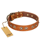 "Precious Relic" FDT Artisan Tan Leather Collie Collar Adorned with Old Bronze Look Studs