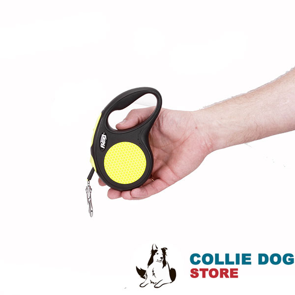 Dog Retractable Leash for Small Dogs Everyday walking with Convenient Handle