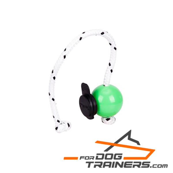 Dog training ball with black magnets