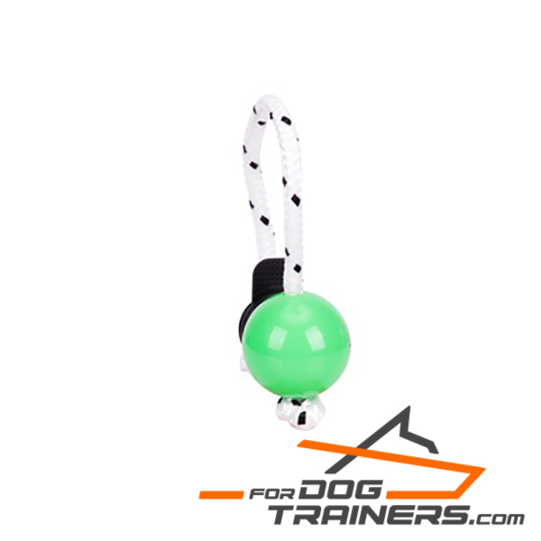 Dog training ball